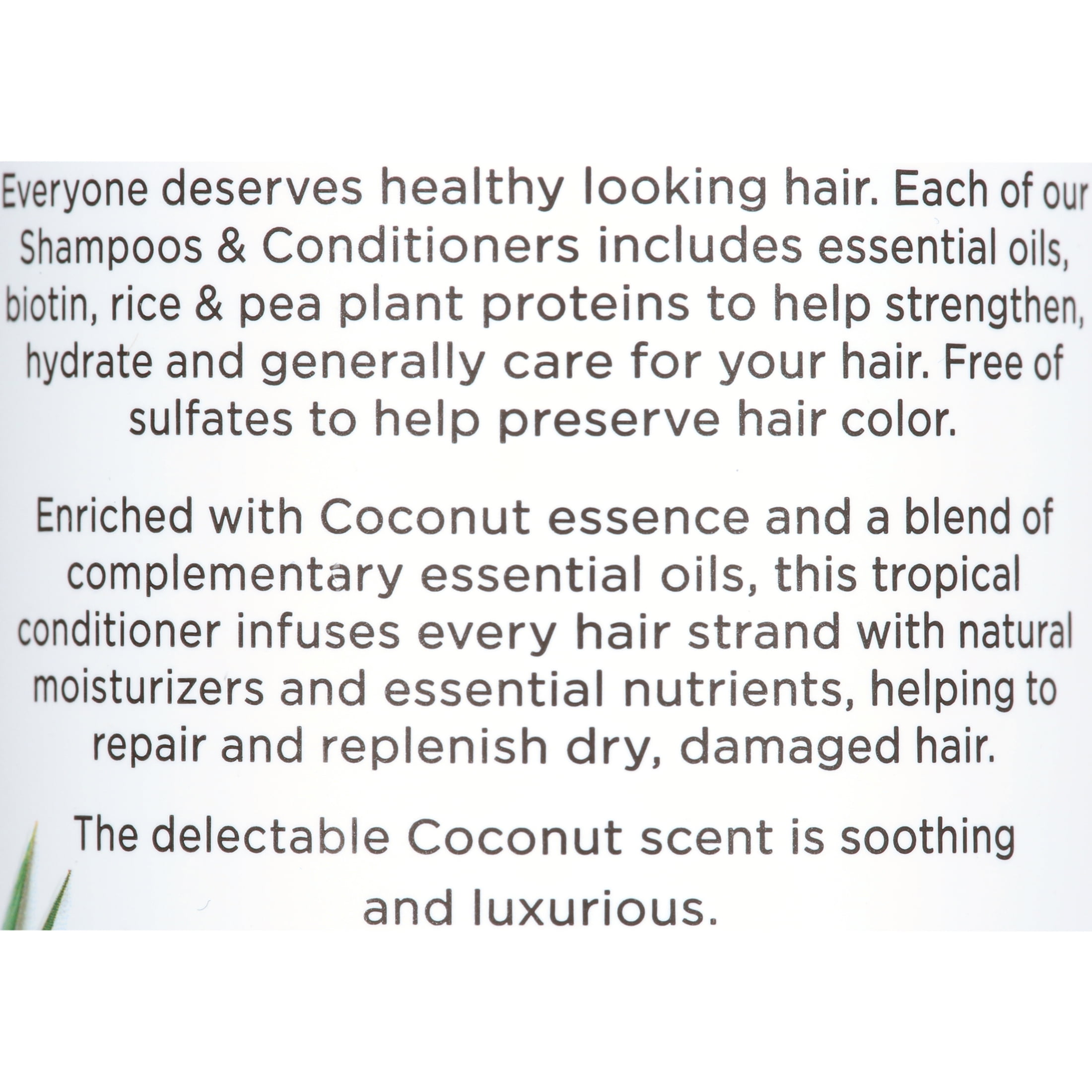 Dr Teal's Essential Oil Moisturizing nourishing Daily Conditioner with Biotin, Coconut, 16 fl oz
