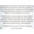 thumbnail image 2 of Dr Teal's Essential Oil Moisturizing nourishing Daily Conditioner with Biotin, Coconut, 16 fl oz, 2 of 6