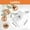 A #2, variant on Self-Adhesive Picture Hanging Hooks | No Drilling Wall Hangers for Photos Posters Paintings | Heavy Duty 5kg Capacity | 6cm x 6cm Stainless Steel Hooks
