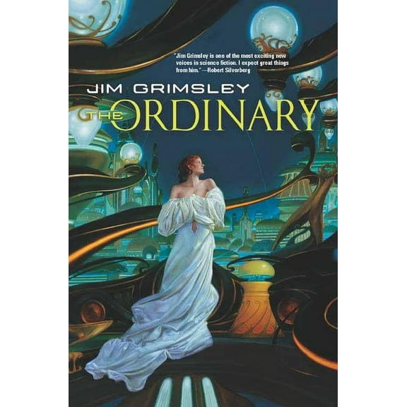 The Ordinary, (Paperback)