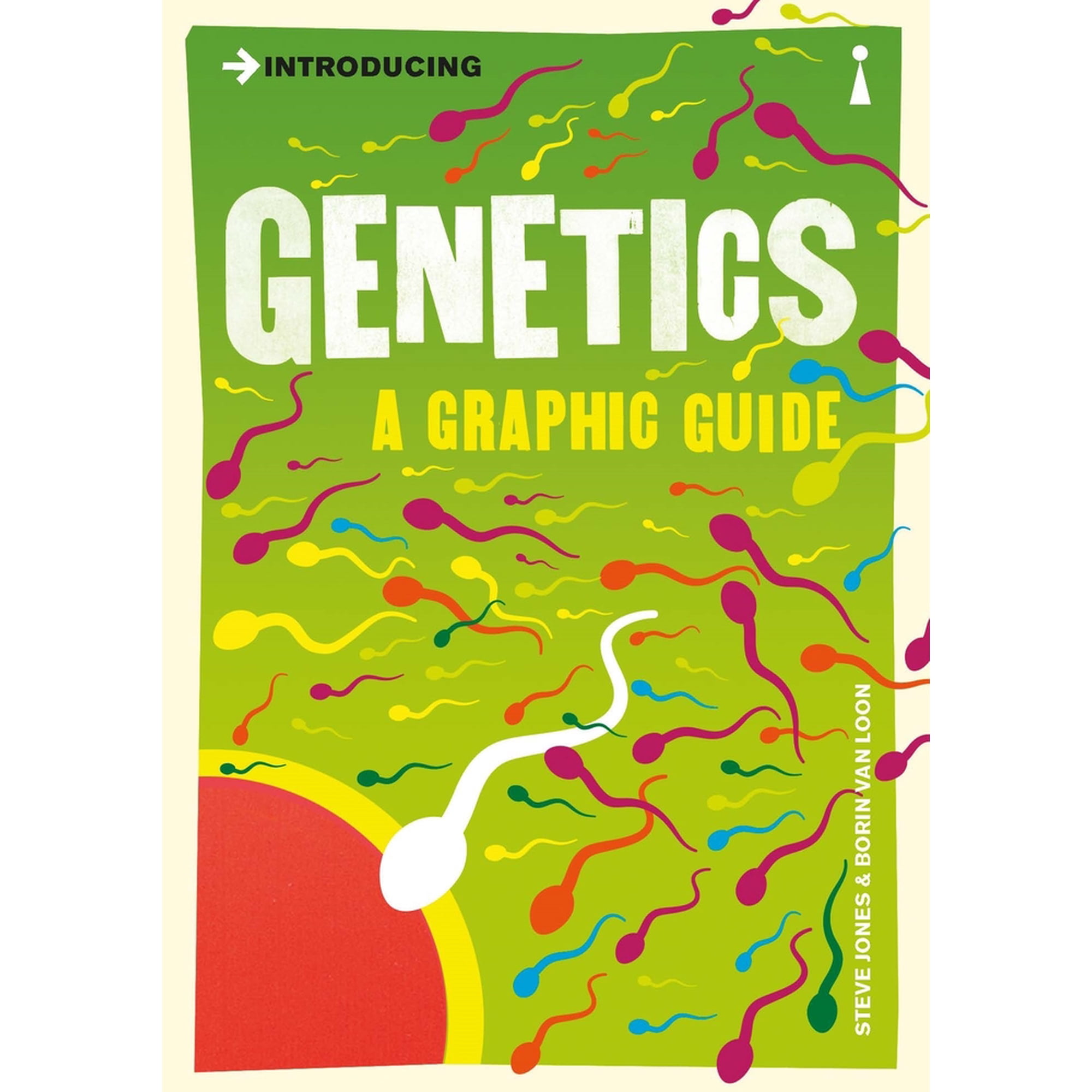 Graphic Guides: Introducing Genetics : A Graphic Guide (Paperback)