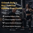thumbnail image 3 of Balincer Pure Himalayan Shilajit Herbal Gold Gummies, for Energy & Vitality, 3000 mg, 80 Count, 3 of 7