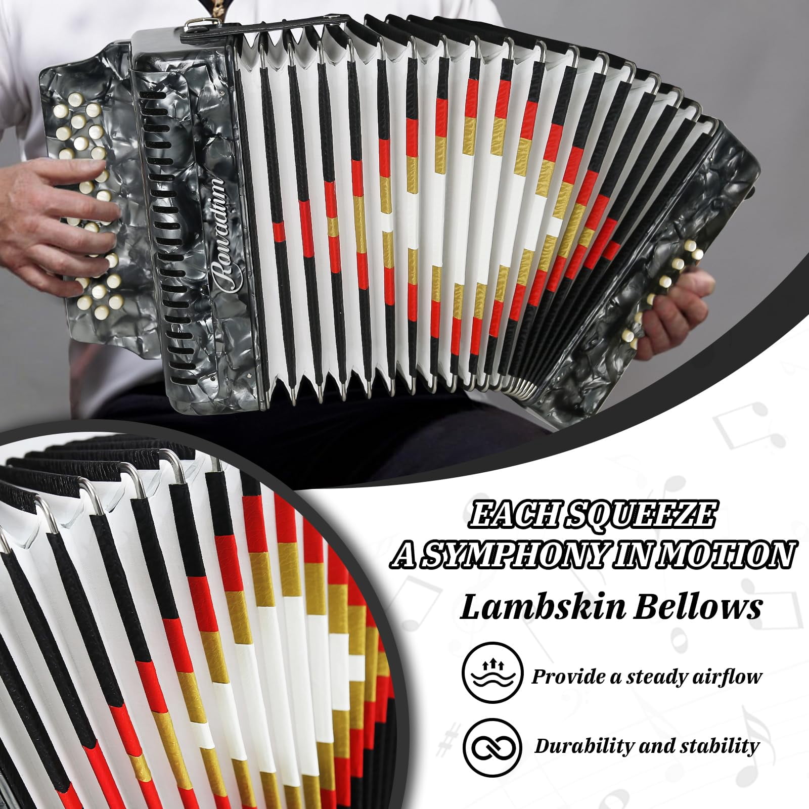 Rowadtim Accordion - 31 Keys, 12 Bass Professional Diatonic, Premium Portable Button Accordion for Adults & Beginners with Thick Protective Case (Gray)