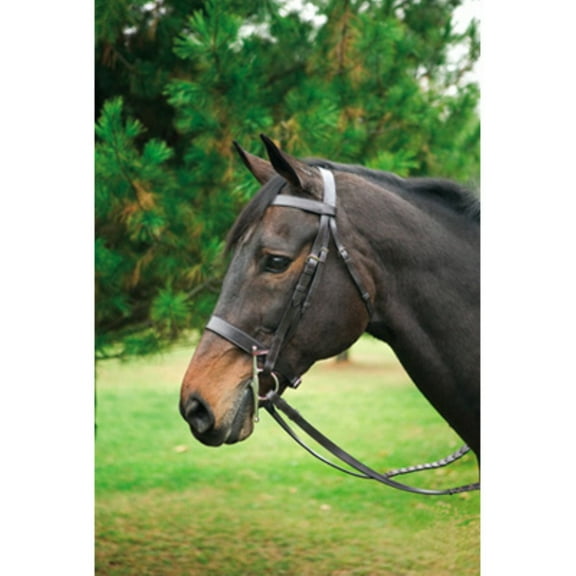 Henri de Rivel Advantage Hunt Bridle