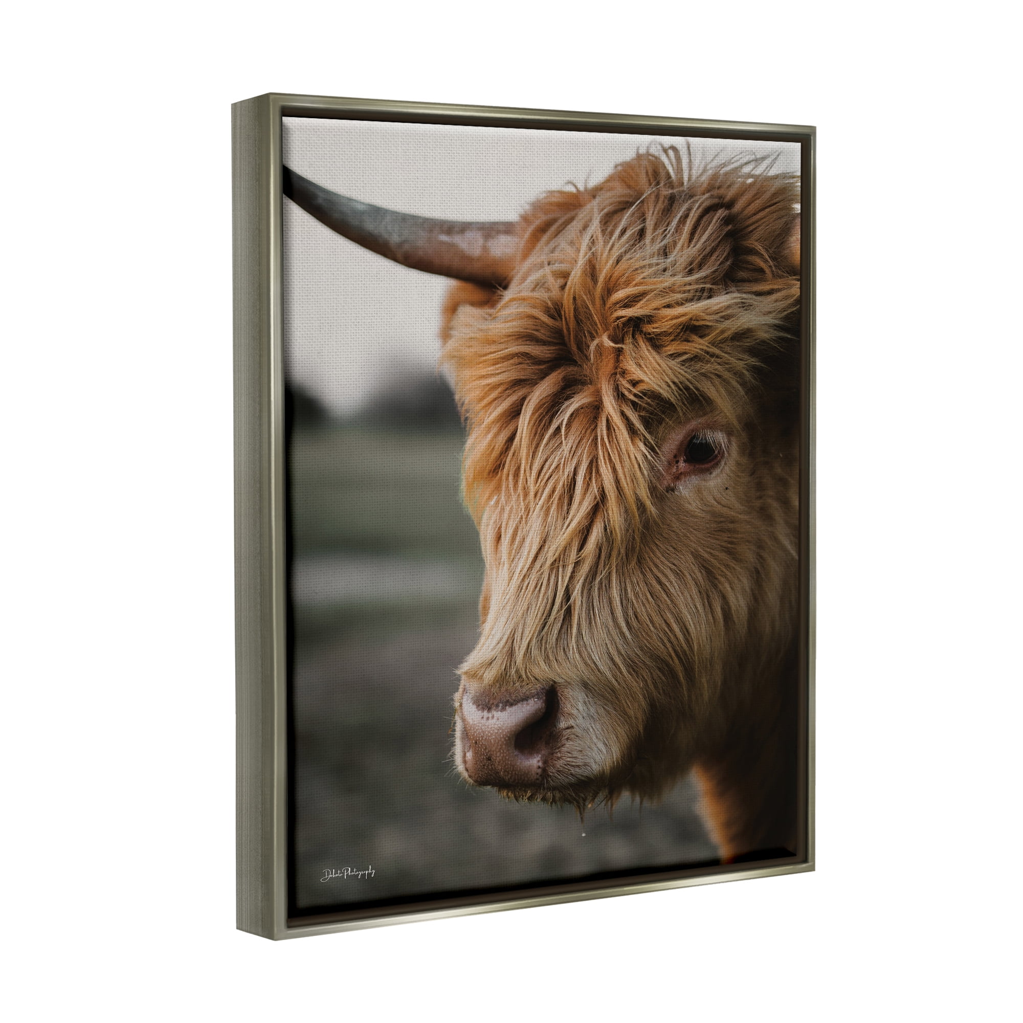 Stupell Industries Cattle Gazing Portrait Animals & Insects Photography Gray Floater Framed Art Print Wall Art, 25 x 31
