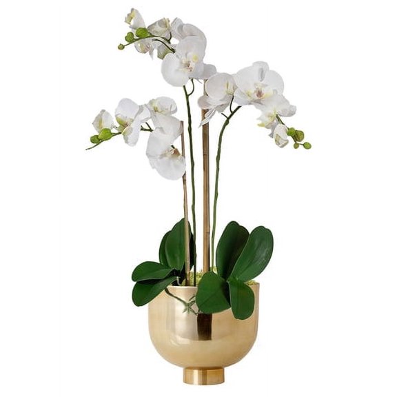 Serene Spaces Living DIY White Orchid KIT: Faux Potted Plant, Bowl & Moss