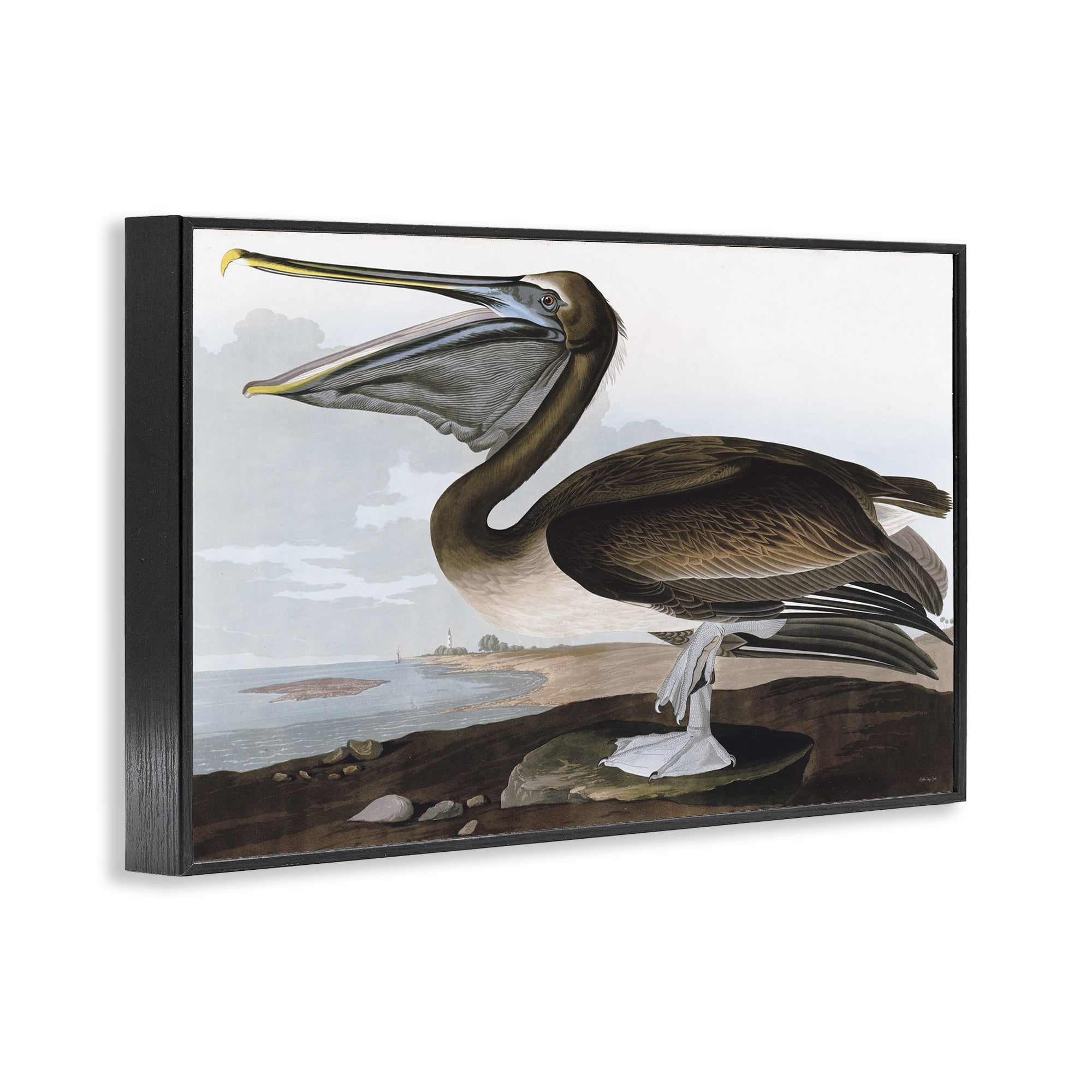 Stupell Industries Classic Pelican at Beach Animals & Insects Painting Black Framed Art Print Wall Art, 18 x 12