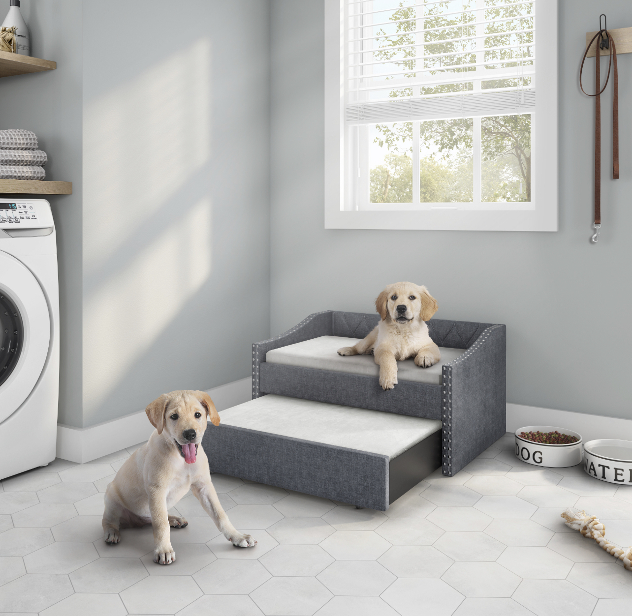 Pet Daybed Trundle for Small to Medium Size Dogs Bed Elevated Couch & 2