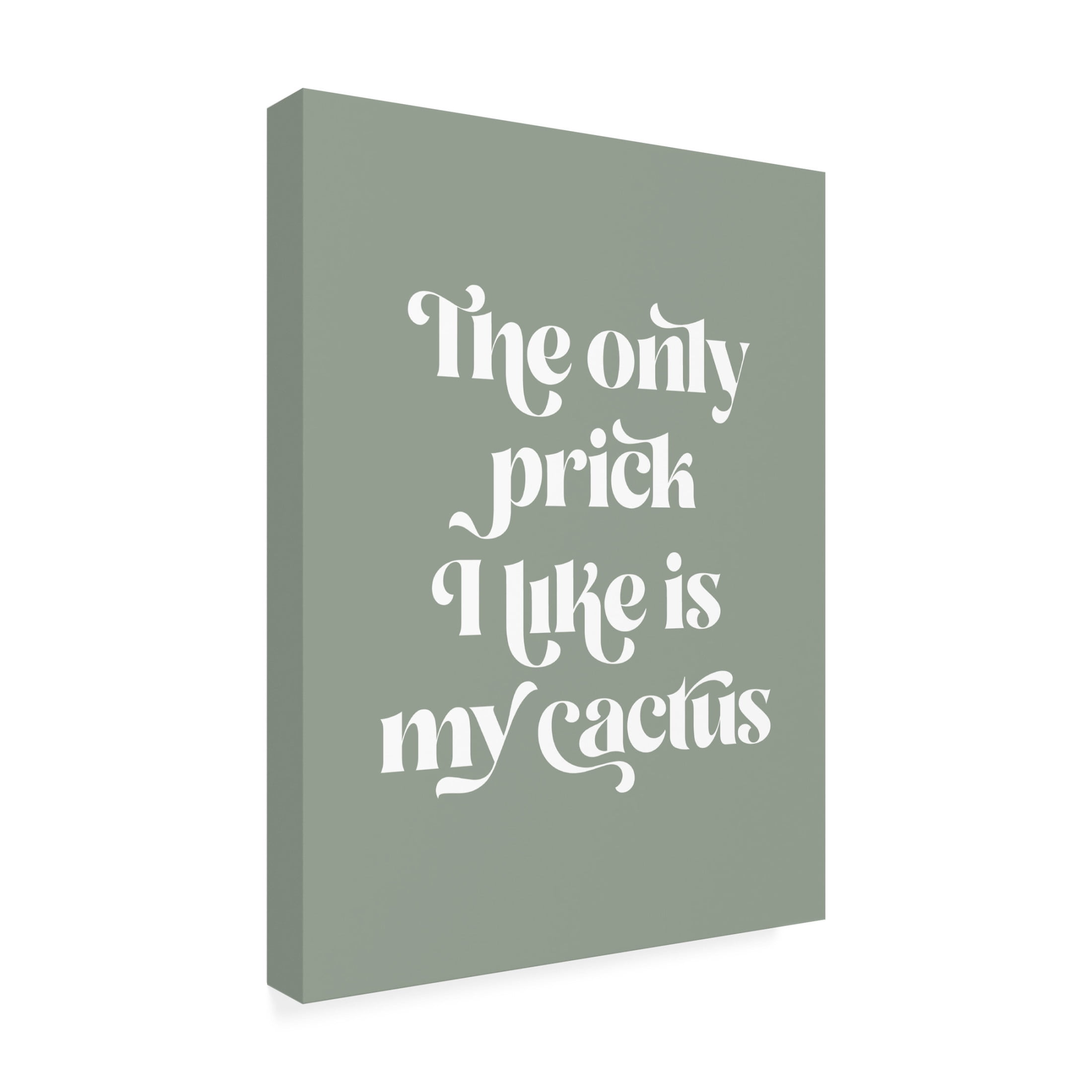 Trademark Fine Art Beth Cai  Cactus Prick Canvas Wall Art