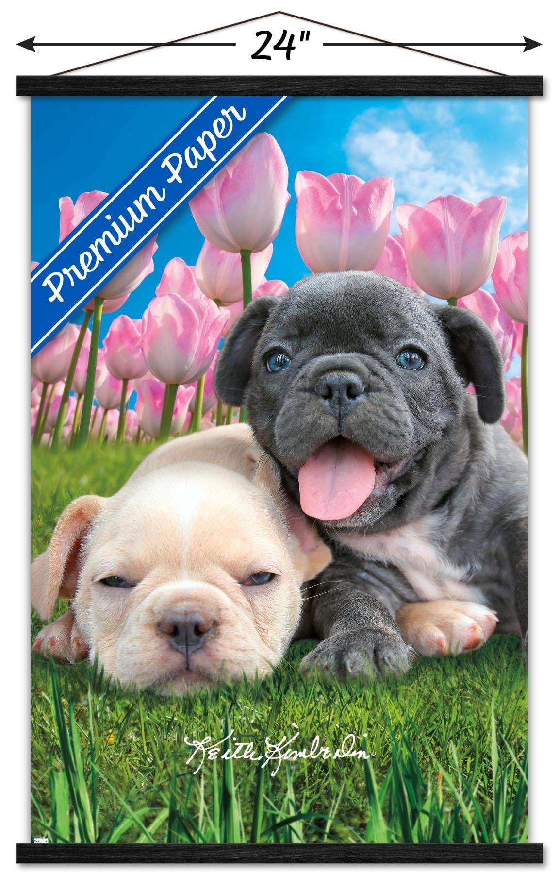 Keith Kimberlin - Bulldog Puppies Wall Poster with Wooden Magnetic Frame, 22.375" x 34"