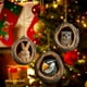 thumbnail image 1 of Adornos Navideños de Animales Del Bosque En Acrílico, Ideales Como Recuerdo o Regalo. Estilo Ovalado. Perfectos para Los Amantes de La Navidad. Incluyen Un Cordón Resistente para Colgar y Un Colgante, 1 of 2