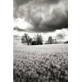 thumbnail image 2 of Alan Hausenflock 23x32 Gallery Wrapped Canvas Wall Art Titled - Stormy Skies I, 2 of 4