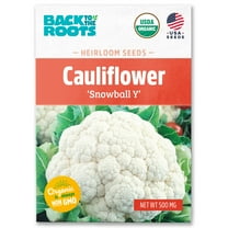 Back to the Roots Organic Cauliflower 'Snowball Y', 1 Seed packet