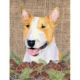 thumbnail image 1 of Carolines Treasures SS4086CHF 28 x 40 In. Bull Terrier Flag Canvas- House Size, 1 of 4
