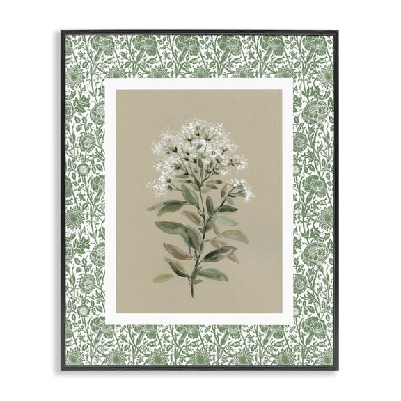 Stupell Industries French Country Plant on Green Botanicals Black Framed Giclee Art, 11 x 14, by Carol Robinson
