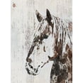 thumbnail image 2 of Orlov, Irena 15x18 White Modern Wood Framed Museum Art Print Titled - Galaxy Horse III, 2 of 4
