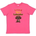 thumbnail image 3 of Inktastic Labrador Chocolate Lab Youth T-Shirt, 3 of 5