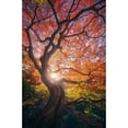 thumbnail image 3 of De La, Javier 17x24 Black Modern Framed Museum Art Print Titled - The Japanese Tree, 3 of 5