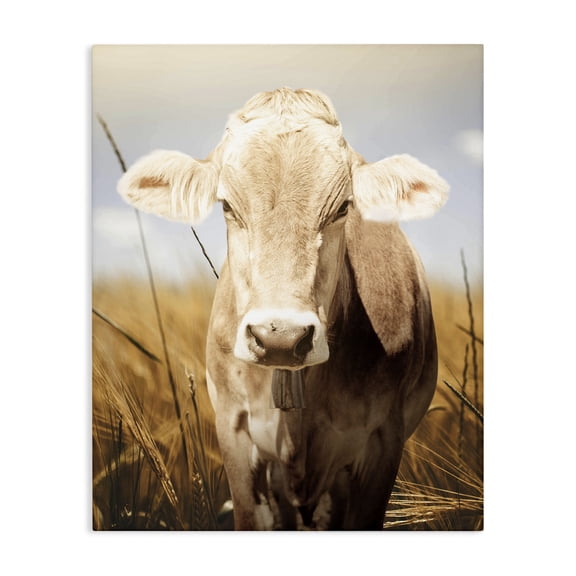 Stupell Industries Farmhouse Simple Belle Cow Portrait Canvas Art, 16 x 20, by Marcus Prime