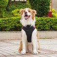 thumbnail image 6 of NovaStitch Padded Vest Dog Jacket Warm Zip Up Vest Fleece Jacket Water Resistant for Small to Medium Dogs Hot Pink 3XL, 6 of 7