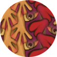 thumbnail image 1 of Ahgly Company Tapis Rond Lavable en Machine Intérieur Transitionnel Orange, 7 Pieds Rond, 1 of 7