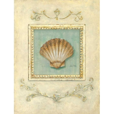- Classic Scallop Poster Print by Arnie Fisk