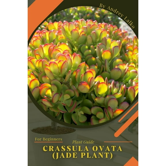Crassula ovata (Jade plant): Plant Guide (Paperback) by Andrey Lalko