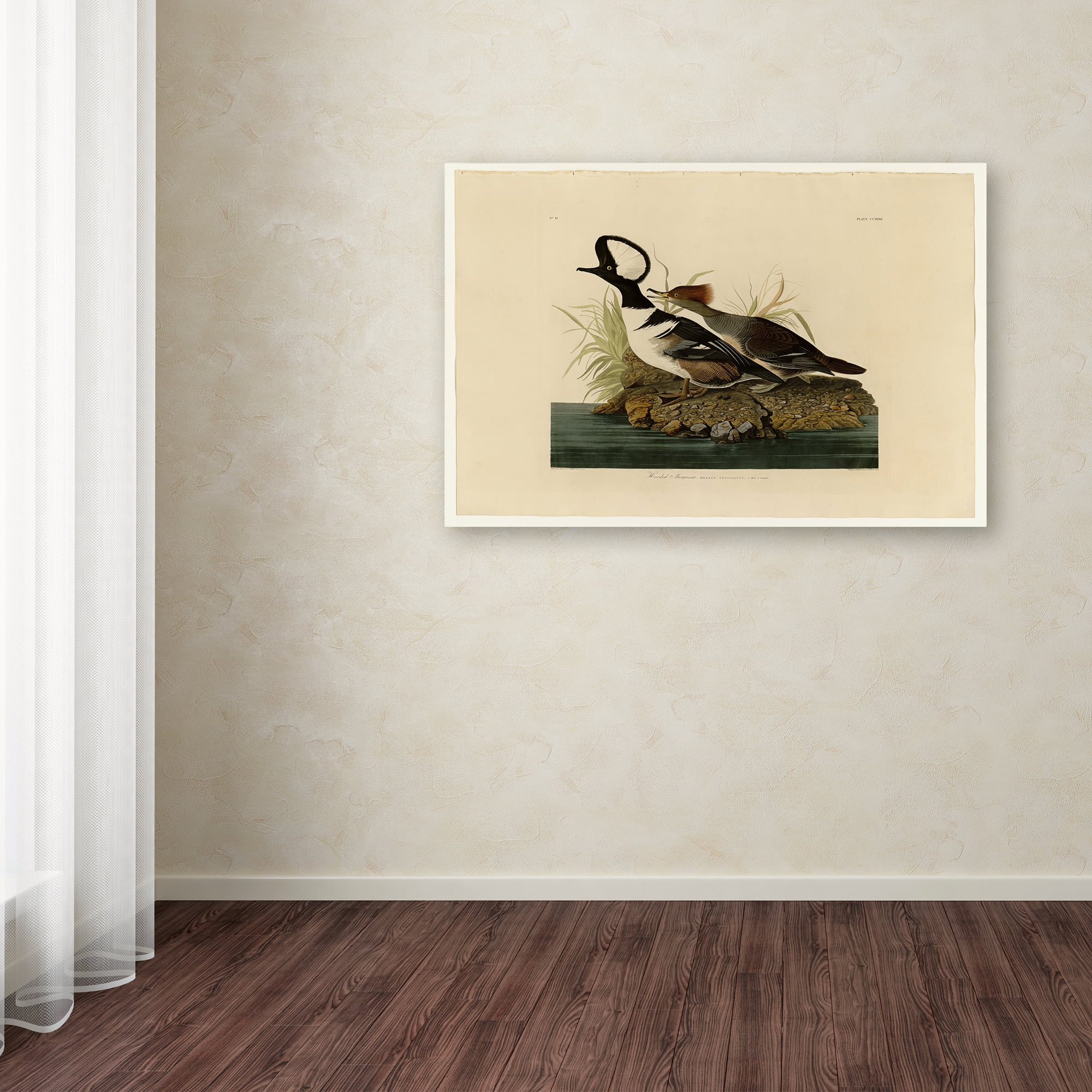Trademark Fine Art 'Hooded Merganserplate 232' Canvas Art by Audubon