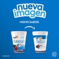 thumbnail image 5 of Yoghurt Yoplait Griego moras bajo en grasa 442 g, 5 of 5