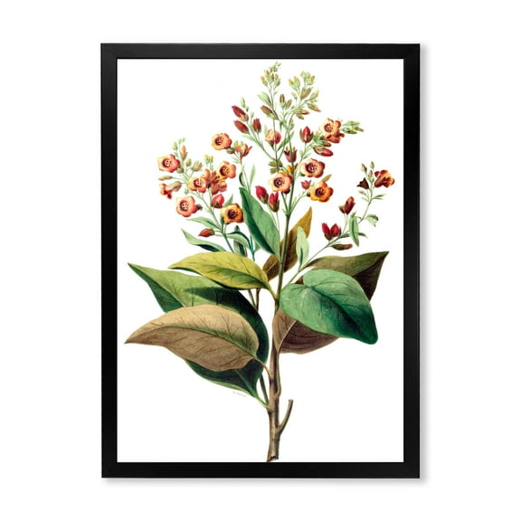 Designart 'American Vintage Flowers II' Traditional Framed Art Print