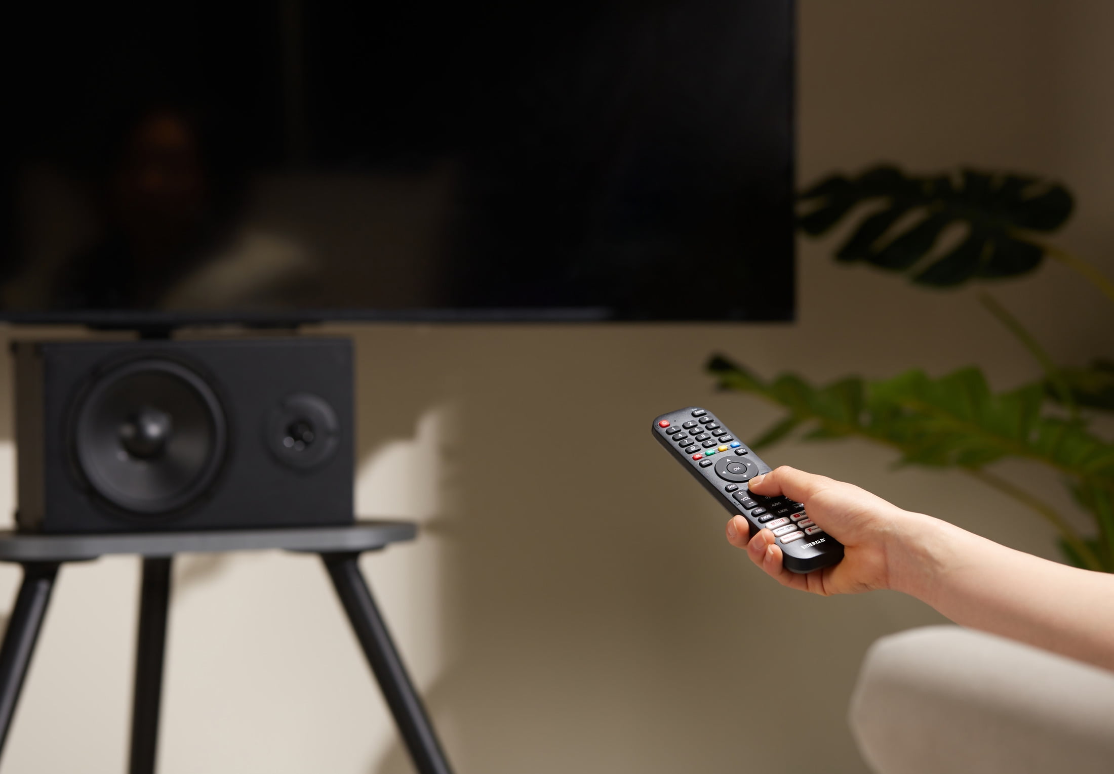 Emerald Full Motion TV Wall Mount Kit for 13-65” TVs, Swivel TV Mount with 10’ LED Cable and Universal Remote Control