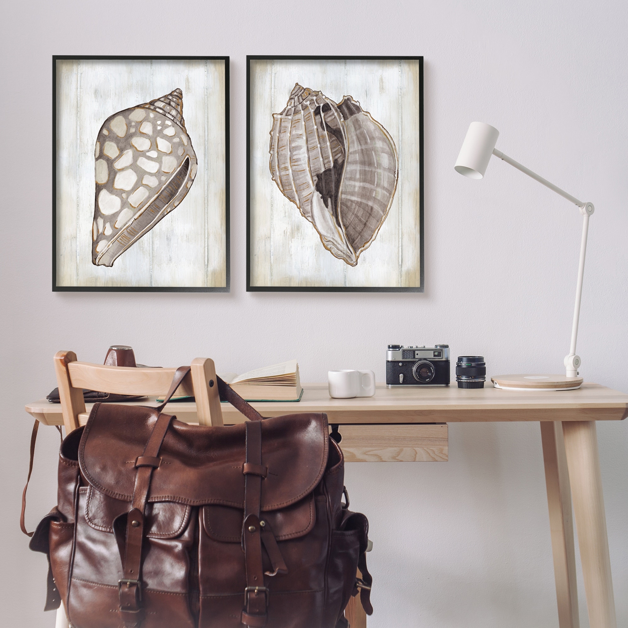 Stupell Industries Spotted Seashell Rustic Marine Life Beach Sign Graphic Art Black Framed Art Print Wall Art, Set of 2, Design by Carol Robinson
