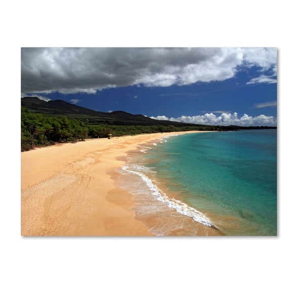 Trademark Fine Art "Makena Maui" Canvas Art by Pierre Leclerc