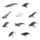 thumbnail image 4 of Juguetes Educativos Sunnimix 10 Uds Figuras de simulación Ballena, 4 of 8