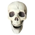 thumbnail image 2 of Creepy Plastic Open Mouth Skull Skeleton Haunted House Decor Halloween Prop White One Size, 2 of 8