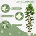 View all media