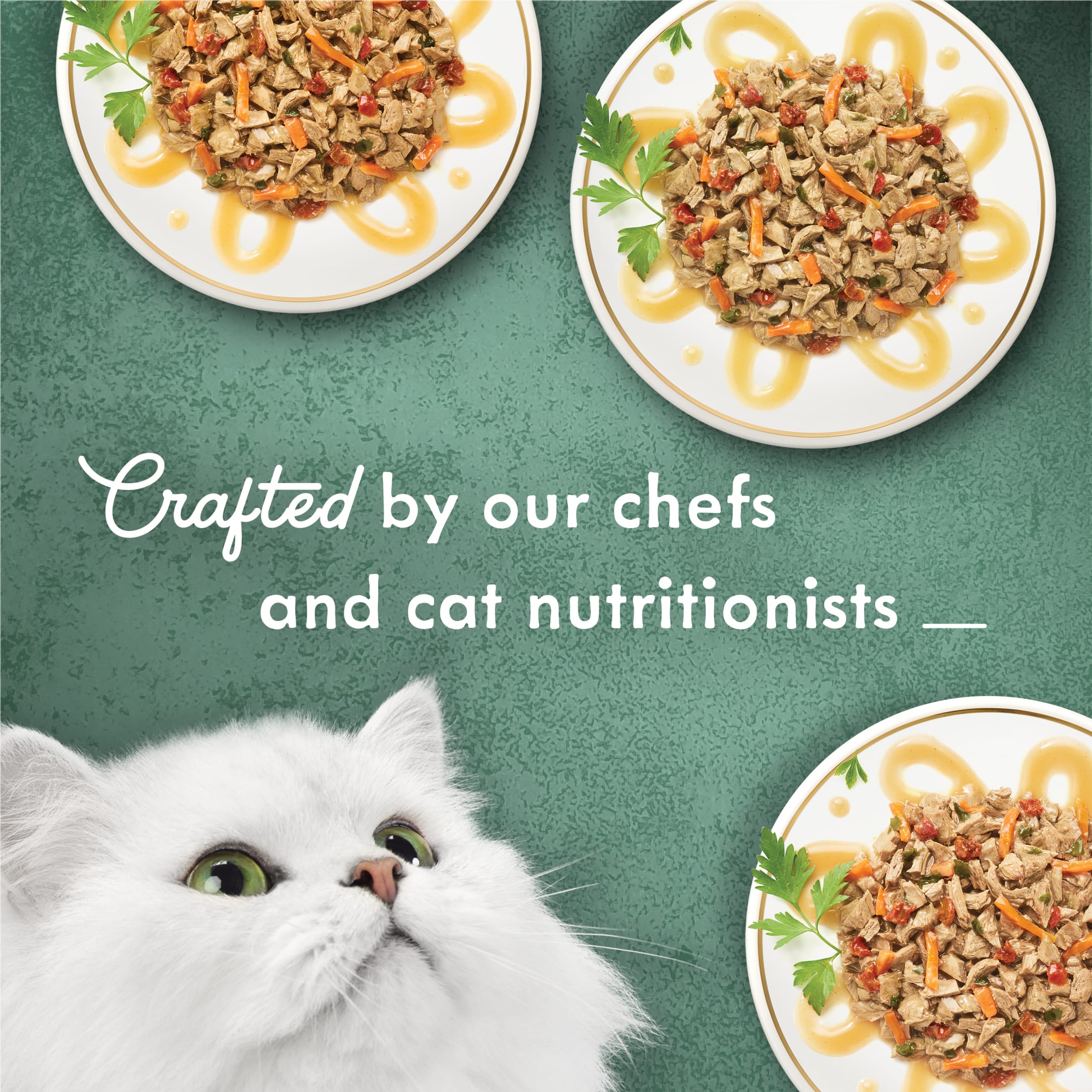 Fancy Feast Medleys Primavera Wet Cat Food, 12 Cans photo 5