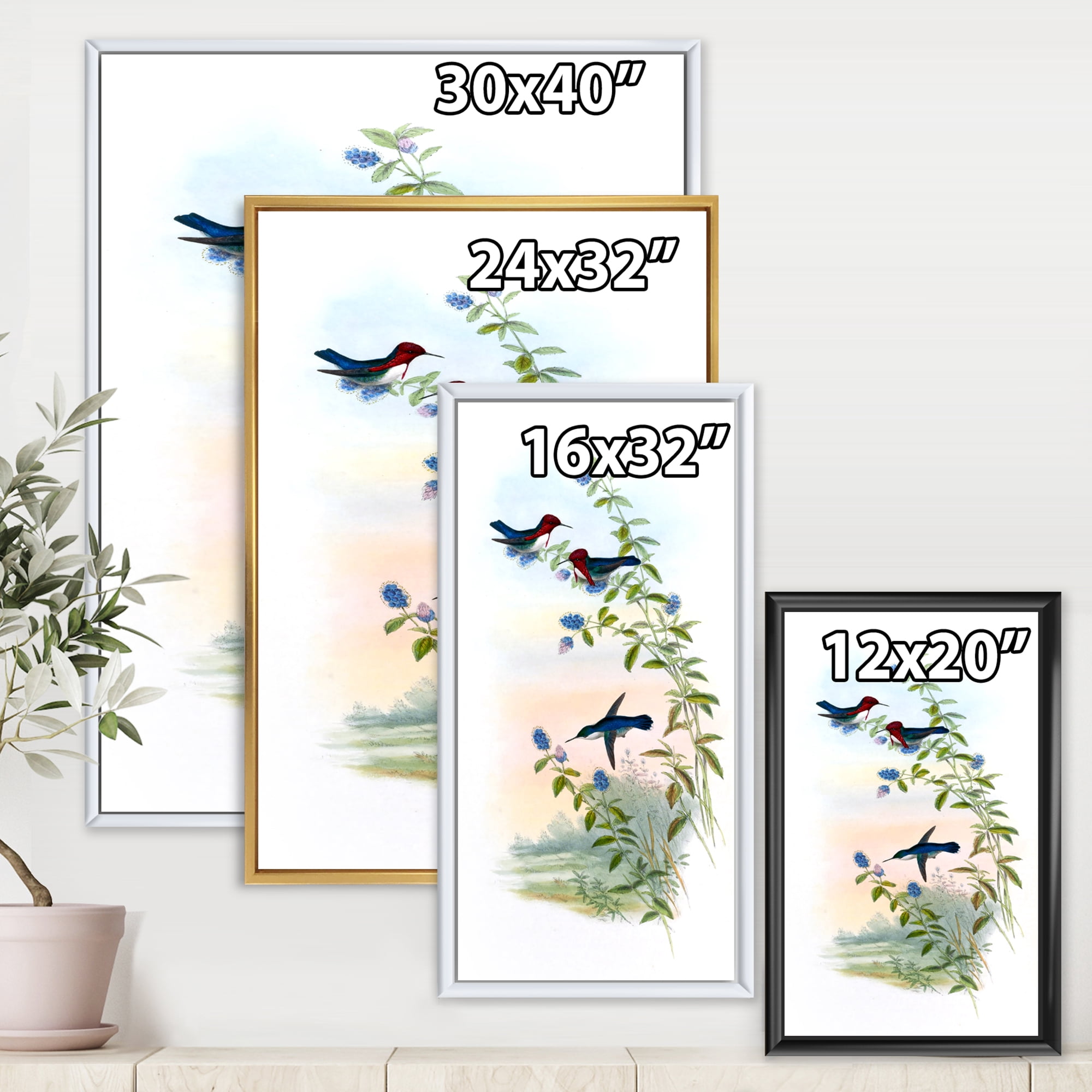 Designart 'Ancient Hummingbird II' Traditional Framed Canvas Wall Art Print