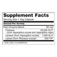 thumbnail image 3 of NOW Supplements, Dairy Digest Complete, Digests Lactose, Dairy Proteins and Fats*, 90 Veg Capsules, 3 of 7