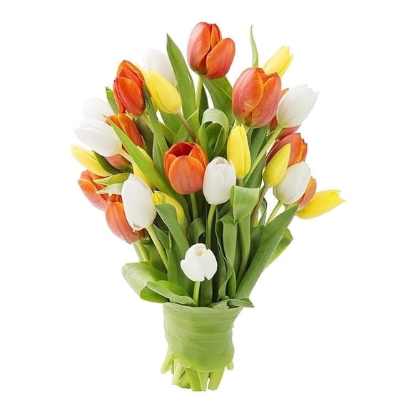 KaBloom : 10 Yellow Tulips, 10 Orange Tulips, 10 White Tulips from Holland Next-Day Delivery.