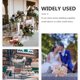 thumbnail image 5 of 1 set Ciron Decorative Bird Cage Wedding Bird Cage Deliced ​​Bird Cage Ornament, 5 of 6