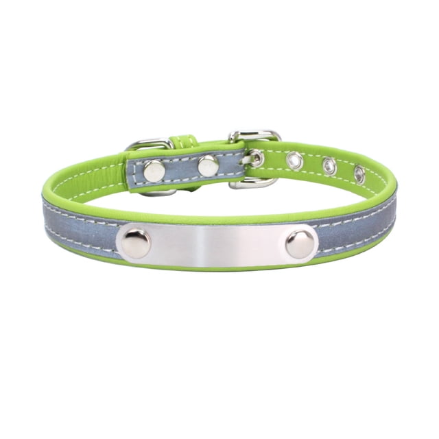 Collier pour Chien Laisse pour Chien Plaque en Acier Inoxydable Réfléchissante Lettrage Collier Lumineux pour Animal Vert