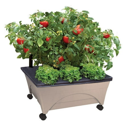 City Picker Raised Bed Grow Box – Self Watering and Improved Aeration – Mobile Unit with Casters - (Best Small Grow Box)