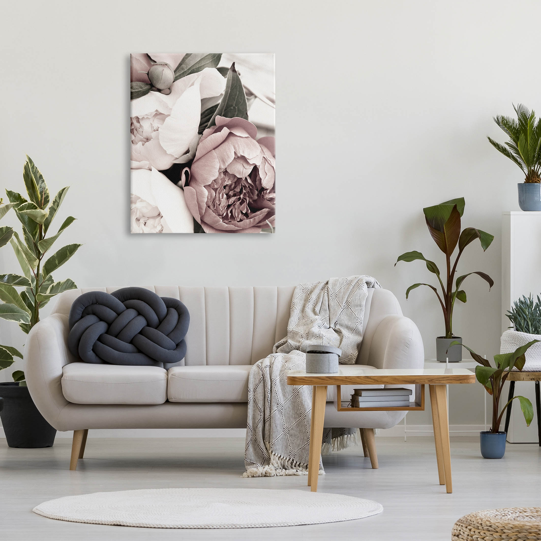 Budding Peony Petals Close Up Botanical & Floral Photograph Gallery Wrapped Canvas Print Wall Art