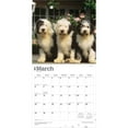 thumbnail image 3 of Old English Sheepdogs | 2026 12x24" (Hanging) Square Wall Calendar | BrownTrout, 3 of 9