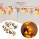 thumbnail image 4 of 1,5 m, 10 luces, cadena de luces cálidas blancas, alimentadas por pilas, luces de hadas para fiestas en interiores y exteriores, dormitorios infantiles, 4 of 7