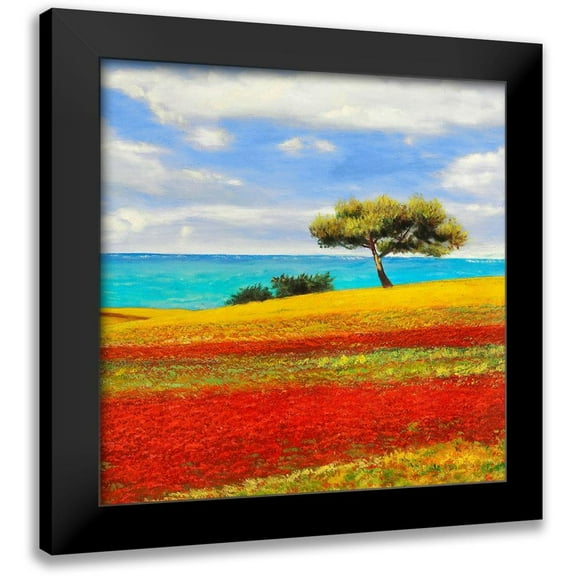 Angelo, Masera 12x12 Black Modern Framed Museum Art Print Titled - Mediterraneo II