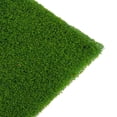 thumbnail image 2 of Modelo de Plástico CUTICAT Cro para Alfombril de Césped 2 Uds, 2 of 5