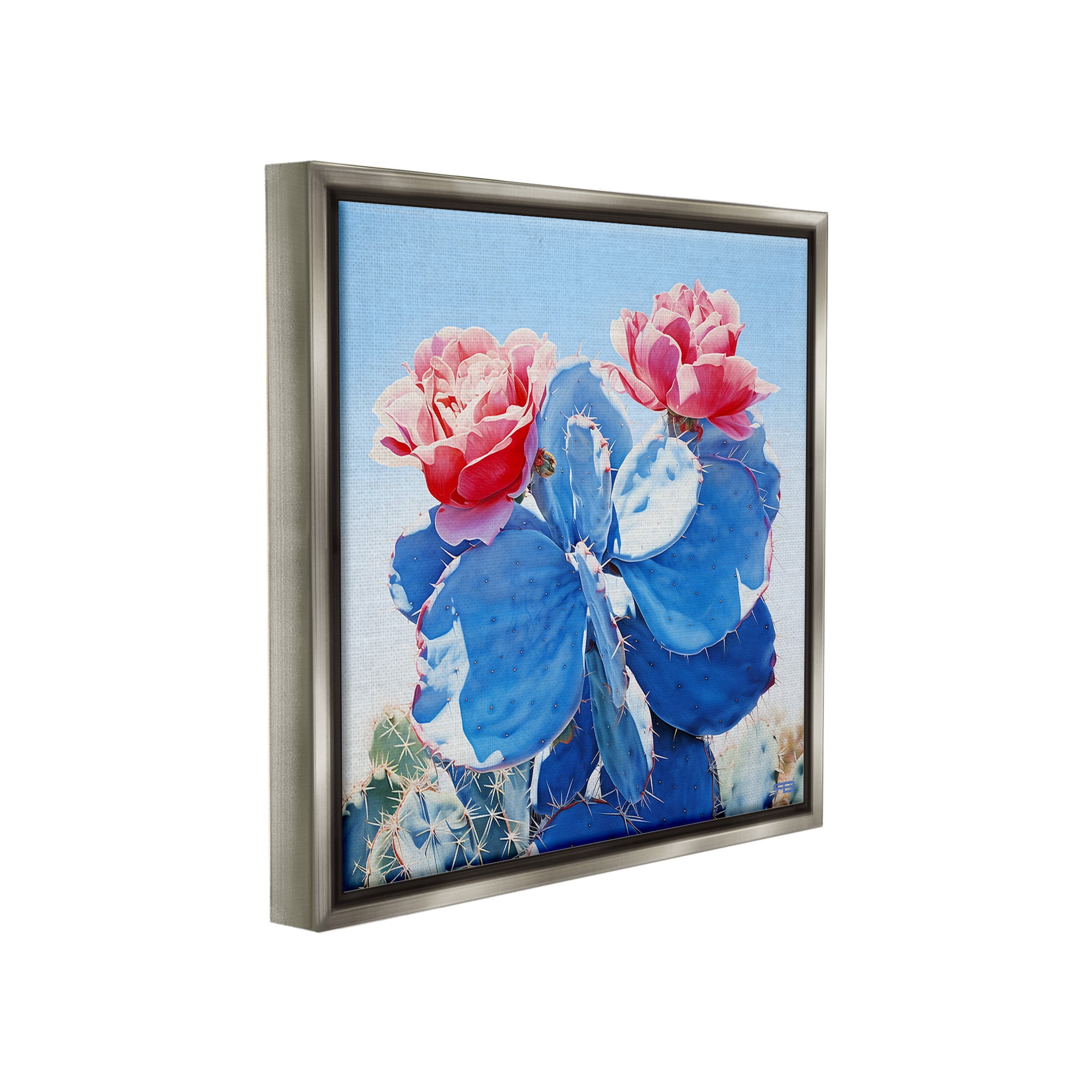 Stupell Industries Twin Cactus Blossoms Botanical & Floral Painting Gray Floater Framed Canvas Art Print Wall Art, 25 x 25