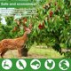 thumbnail image 3 of 20M Heavy Duty Bird Netting Reusable Anti Bird Protection Netting for Garden Fence and Crops Protective Fencing Mesh Anti Bird, 3 of 5